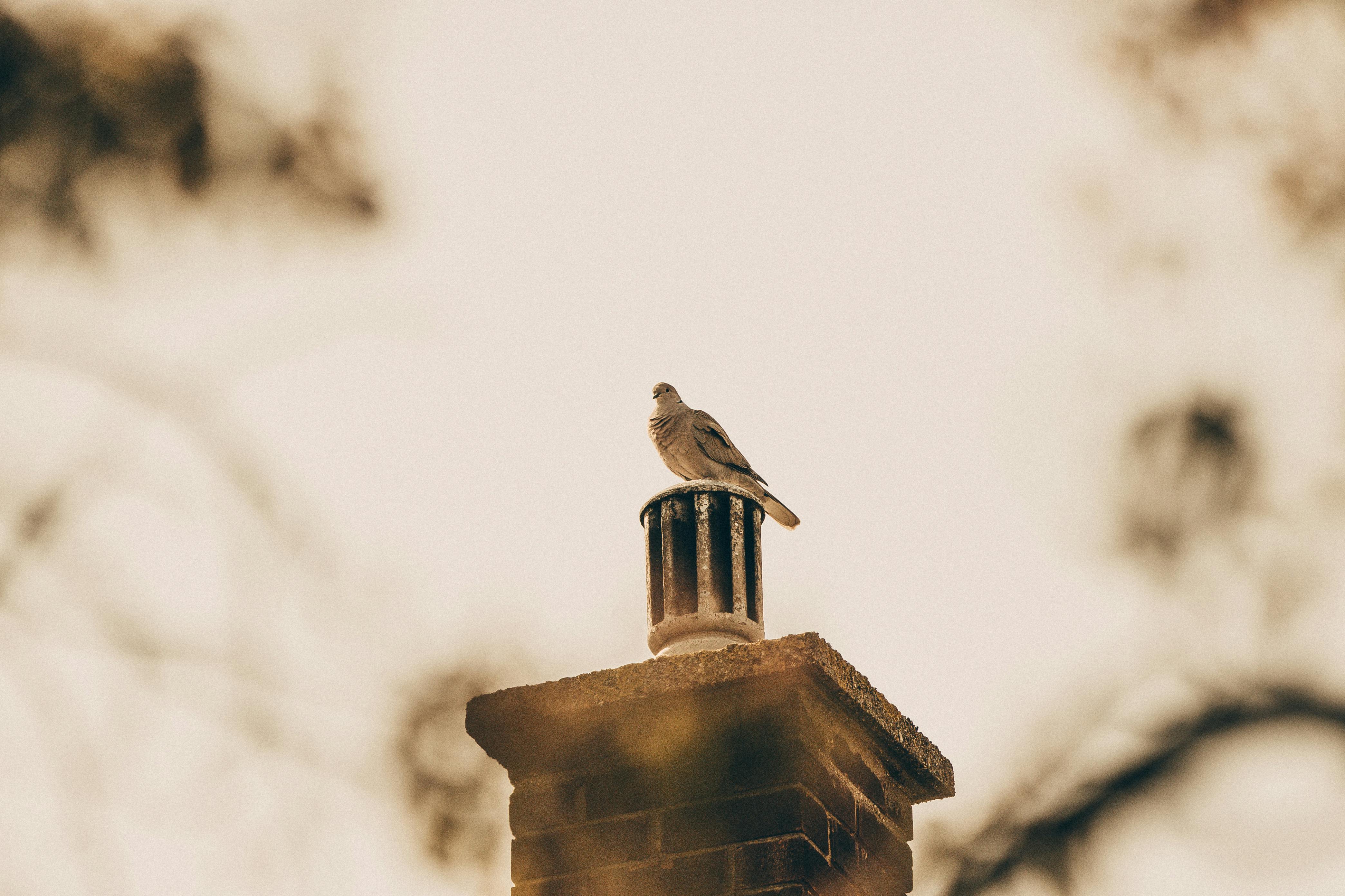 Professional Chimney Cap Installation Services in Alhambra, CA Expert Chimney Cap Installation in Alhambra, California